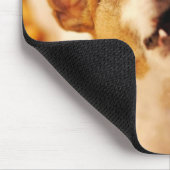 Jack Russell Terrier bellen und springen, Herbst Mousepad (Ecke)