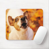 Jack Russell Terrier bellen und springen, Herbst Mousepad (Mit Mouse)