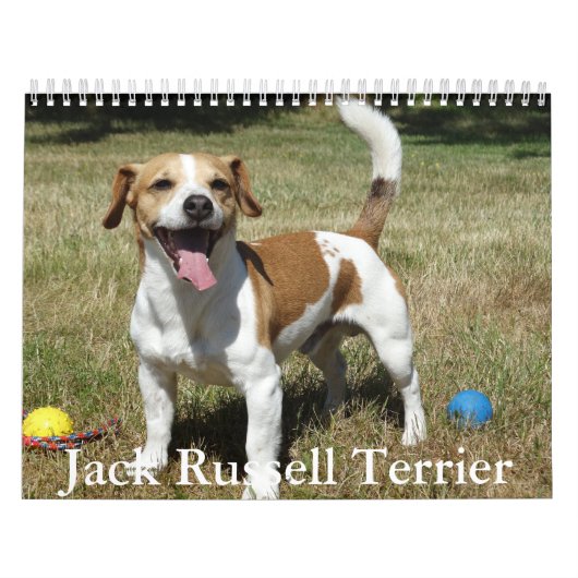Jack Russell Terrier Calendar Kalender (Titelbild)