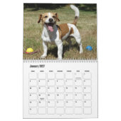 Jack Russell Terrier Calendar Kalender (Jan 2027)