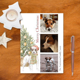 Jack Russell Terrier Christmas Tree Pet Dog Foto Feiertagskarte