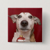 Jack-Russell-Terrier, der Weihnachtsverzierung Button (Vorderseite)
