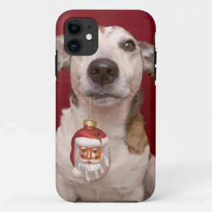 Jack-Russell-Terrier, der Weihnachtsverzierung Case-Mate iPhone Hülle