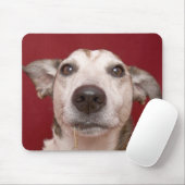 Jack-Russell-Terrier, der Weihnachtsverzierung Mousepad (Mit Mouse)