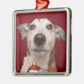 Jack-Russell-Terrier, der Weihnachtsverzierung Ornament Aus Metall (Links)