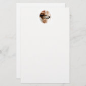 JACK RUSSELL TERRIER DOG BRIEFPAPIER (Vorne/Hinten)