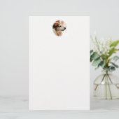 JACK RUSSELL TERRIER DOG BRIEFPAPIER (Stehend Vorderseite)