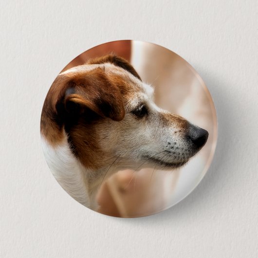 JACK RUSSELL TERRIER DOG BUTTON (Vorderseite)