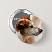 JACK RUSSELL TERRIER DOG BUTTON (Vorne & Hinten)