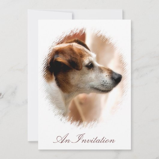 JACK RUSSELL TERRIER DOG EINLADUNG (Vorderseite)