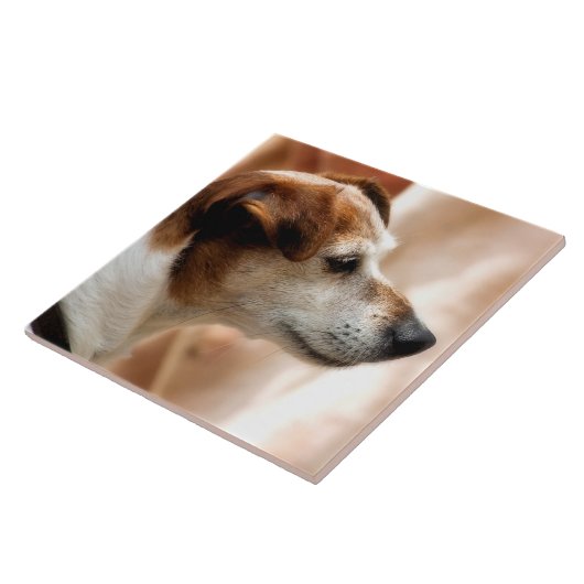 JACK RUSSELL TERRIER DOG FLIESE (Seite)