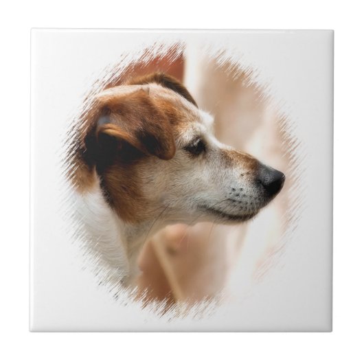 JACK RUSSELL TERRIER DOG FLIESE (Vorderseite)