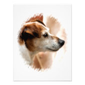 JACK RUSSELL TERRIER DOG FOTODRUCK (Vorne)
