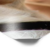 JACK RUSSELL TERRIER DOG FOTODRUCK (Ecke)