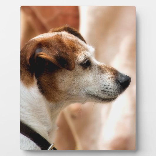 JACK RUSSELL TERRIER DOG FOTOPLATTE (Vorderseite)