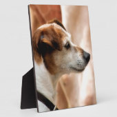JACK RUSSELL TERRIER DOG FOTOPLATTE (Seite)