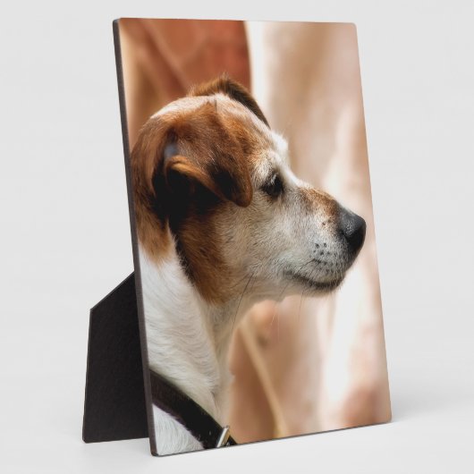 JACK RUSSELL TERRIER DOG FOTOPLATTE (Seite)