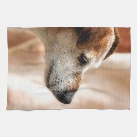 JACK RUSSELL TERRIER DOG HANDTUCH (Horizontal)