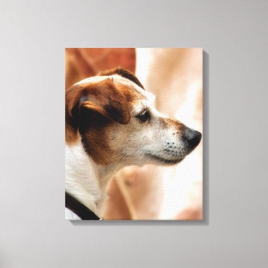 JACK RUSSELL TERRIER DOG LEINWANDDRUCK (Vorderseite)