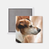 JACK RUSSELL TERRIER DOG MAGNET (Vorderseite/Rückseite)