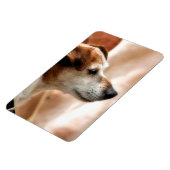 JACK RUSSELL TERRIER DOG MAGNET (Linke Seite)