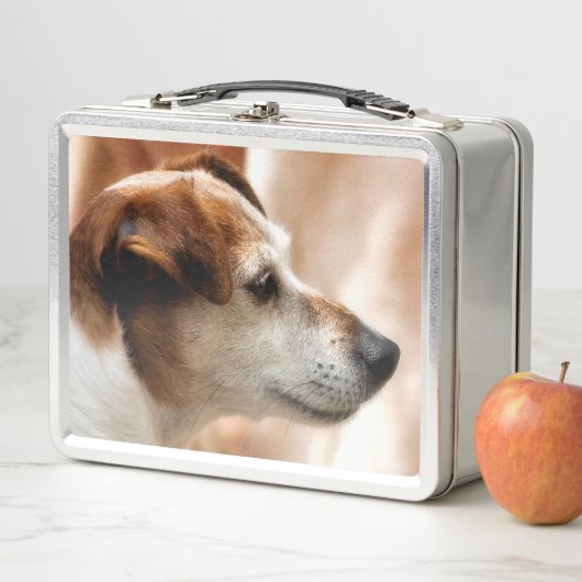 JACK RUSSELL TERRIER DOG METALL LUNCH BOX (Beispiel)
