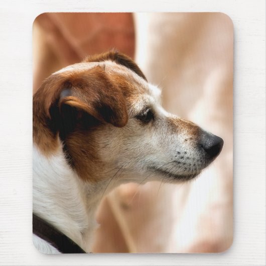 JACK RUSSELL TERRIER DOG MOUSEPAD (Vorne)