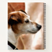 JACK RUSSELL TERRIER DOG NOTIZBUCH (Rückseite)