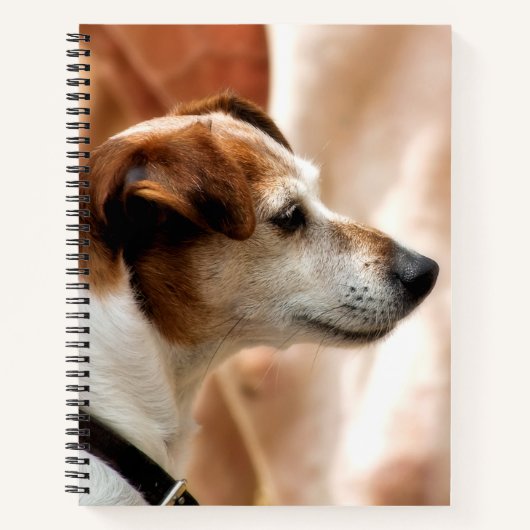 JACK RUSSELL TERRIER DOG NOTIZBUCH (Vorderseite)
