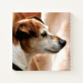 JACK RUSSELL TERRIER DOG NOTIZBUCH (Rückseite)