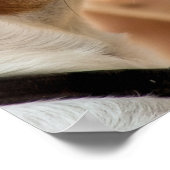 JACK RUSSELL TERRIER DOG POSTER (Ecke)