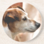 JACK RUSSELL TERRIER DOG SANDSTEIN UNTERSETZER (Vorne)