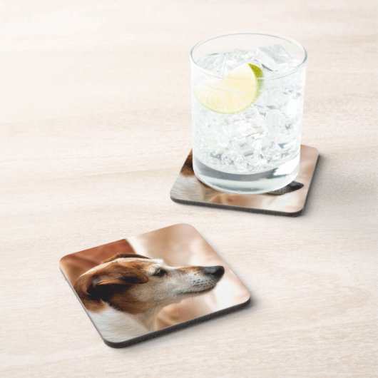 JACK RUSSELL TERRIER DOG UNTERSETZER (Rechte Seite)