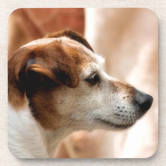 JACK RUSSELL TERRIER DOG UNTERSETZER (Vorderseite)