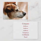 JACK RUSSELL TERRIER DOG VISITENKARTE (Vorne/Hinten)