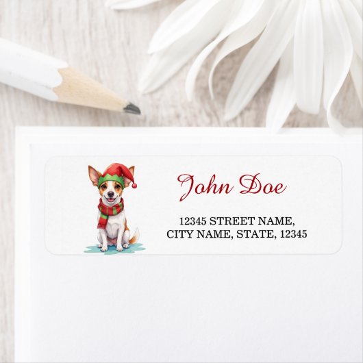 Jack Russell Terrier Elf Hat Christmas Return (Insitu)