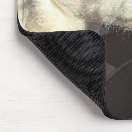 Jack-Russell-Terrier-Fahrt zum Strand Mousepad (Ecke)
