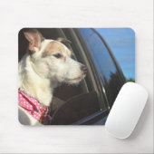 Jack-Russell-Terrier-Fahrt zum Strand Mousepad (Mit Mouse)