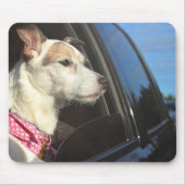 Jack-Russell-Terrier-Fahrt zum Strand Mousepad (Vorne)