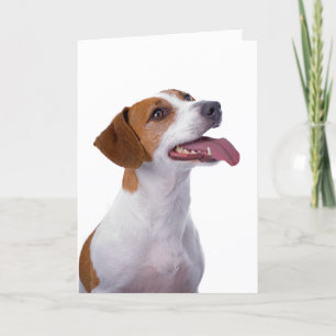 Jack Russell Terrier Friendship Card Karte