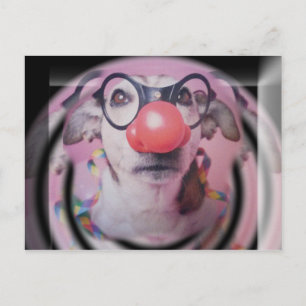 Jack Russell Terrier Happy Birthday Crazy Clown Postkarte