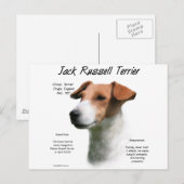 Jack Russell Terrier History Postkarte (Vorne/Hinten)