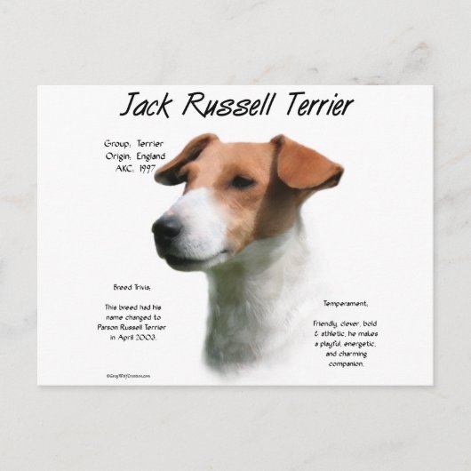 Jack Russell Terrier History Postkarte (Vorderseite)