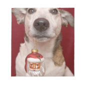 Jack Russell Terrier Holding Weihnachtsschmuck Notizblock (Vorderseite)