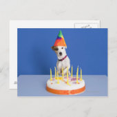 Jack Russell Terrier Hund mit Party-Hut Postkarte (Vorne/Hinten)