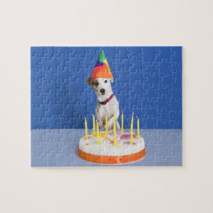Jack Russell Terrier Hund mit Party-Hut Puzzle