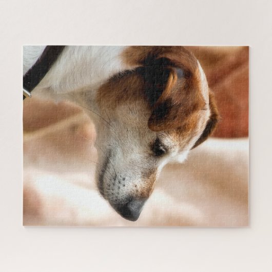 JACK-RUSSELL-TERRIER-HUND PUZZLE (Horizontal)