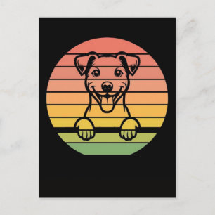 Jack russell terrier hund späht sonnenuntergang vi feiertagspostkarte