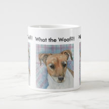 Jack Russell Terrier