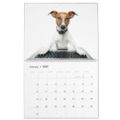 Jack Russell Terrier Kalender (Jan 2027)